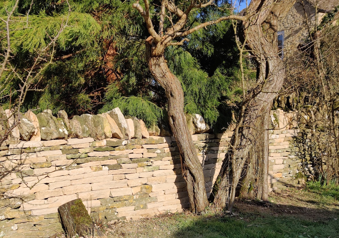 Repaired garden wall.