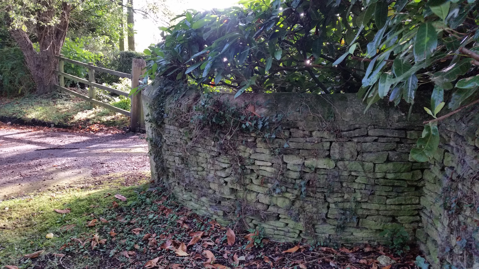 Curved wall in Wilcote